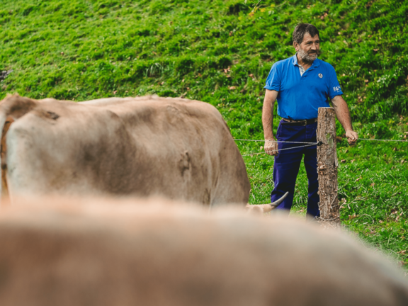 criador de gado com vacas